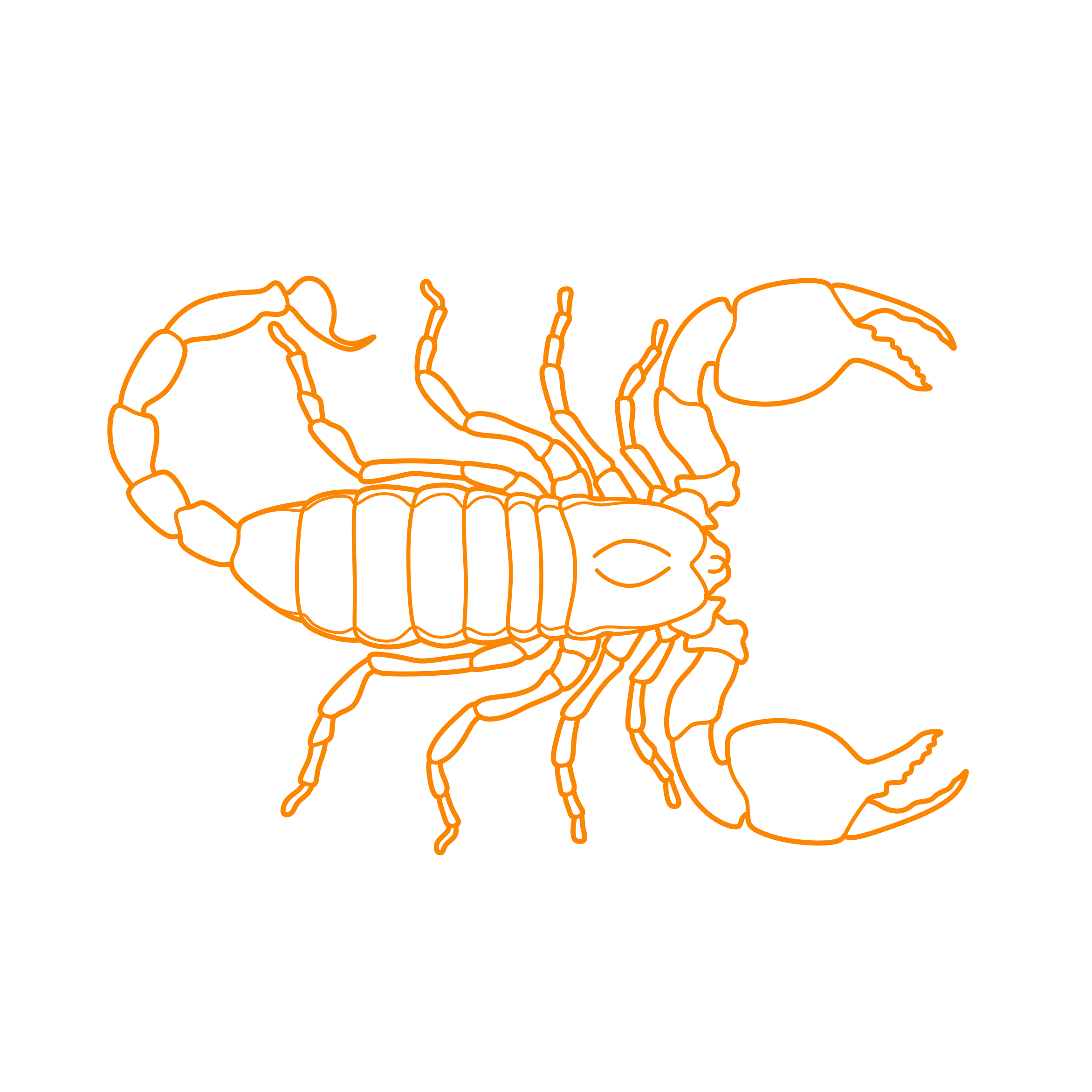 Animals Arachnids Emperor Scorpion Contour Svg Vector Free Vectors